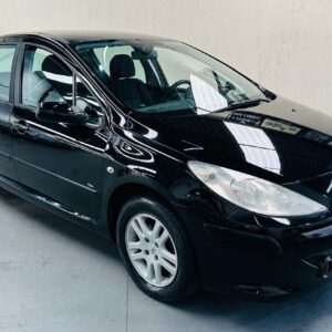 Peugeot 307 Presence 1.6 flex 2009 Completo Impecável